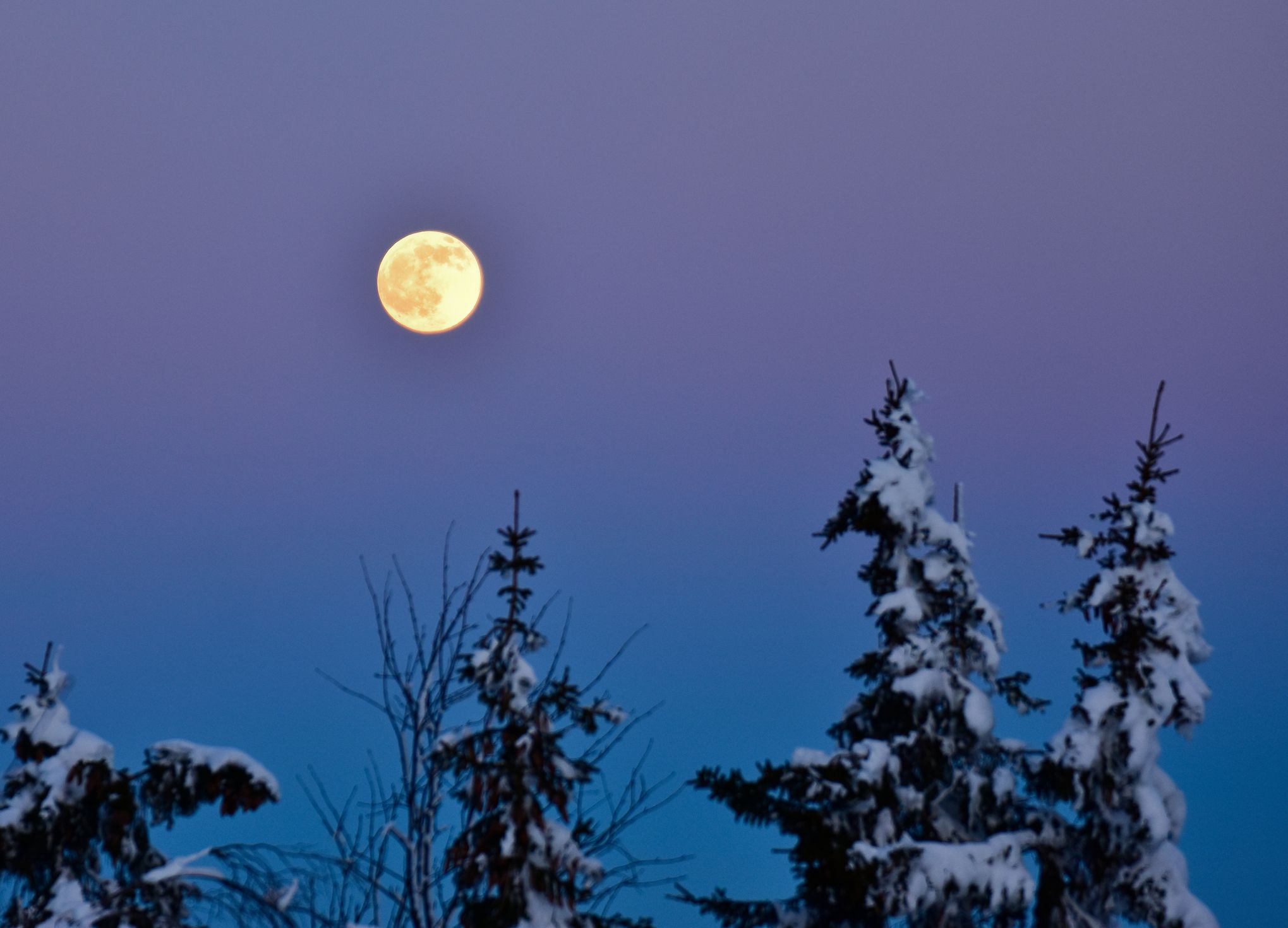 満月いつ】2023年12月27日は今年最後の満月「コールドムーン」！ 時間 