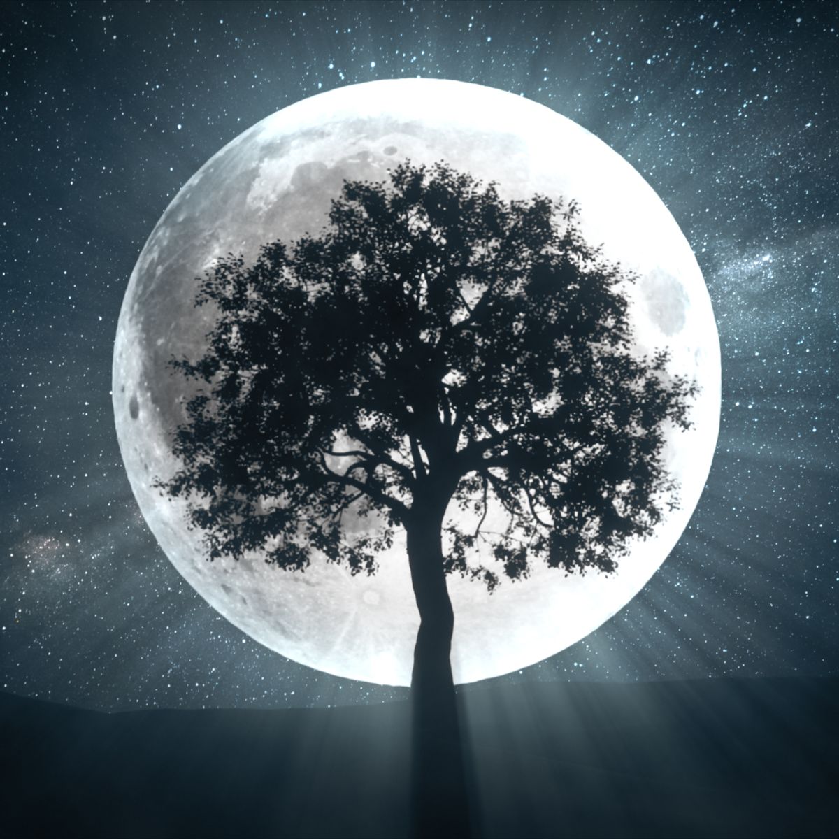 What Are Full Moon Rituals? - How to Create a Full Moon Ritual to ...