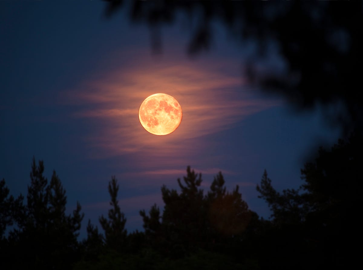 April's Super Pink Moon: When to See The Biggest Supermoon of 2021