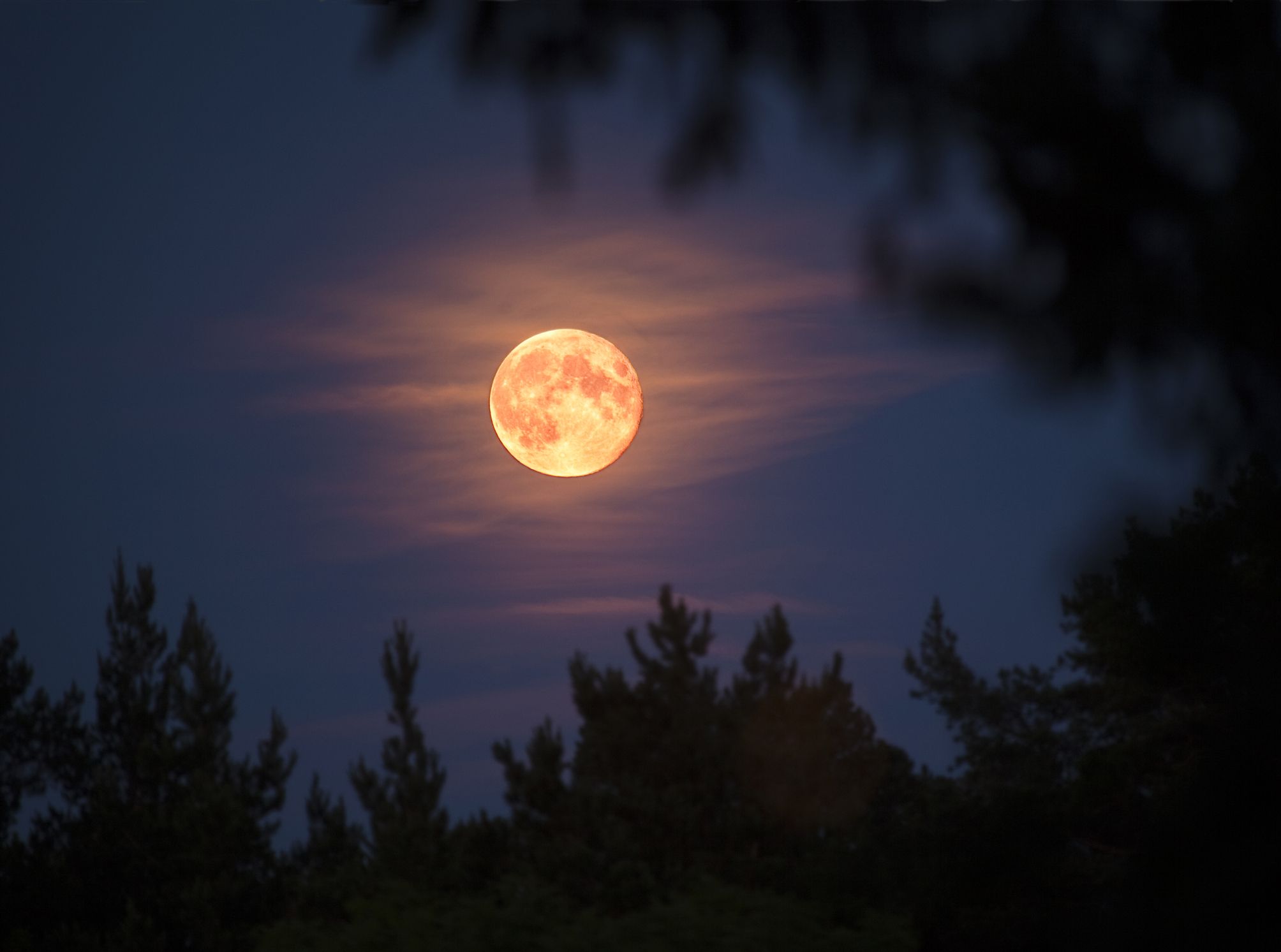 Winter Night With A Big Full Moon Stock Photo, Picture and Royalty