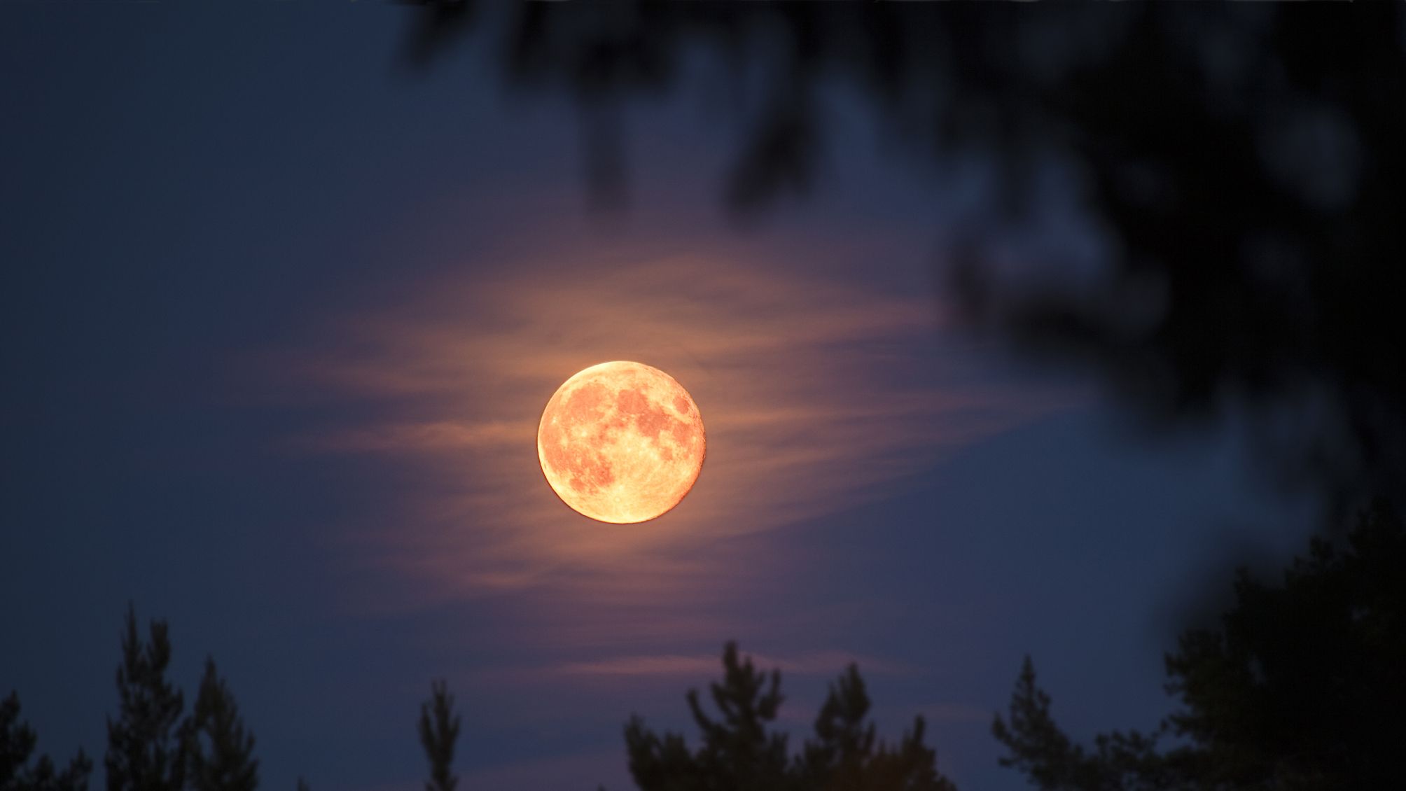 A Super Pink Moon will illuminate Canadian skies tonight