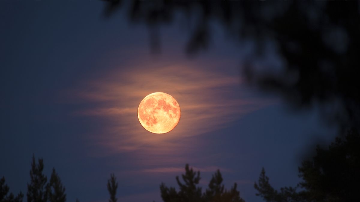 Pink moon tonight: Here's when you could see the April full moon