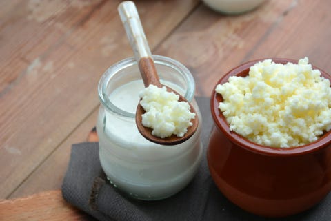 kefir grains