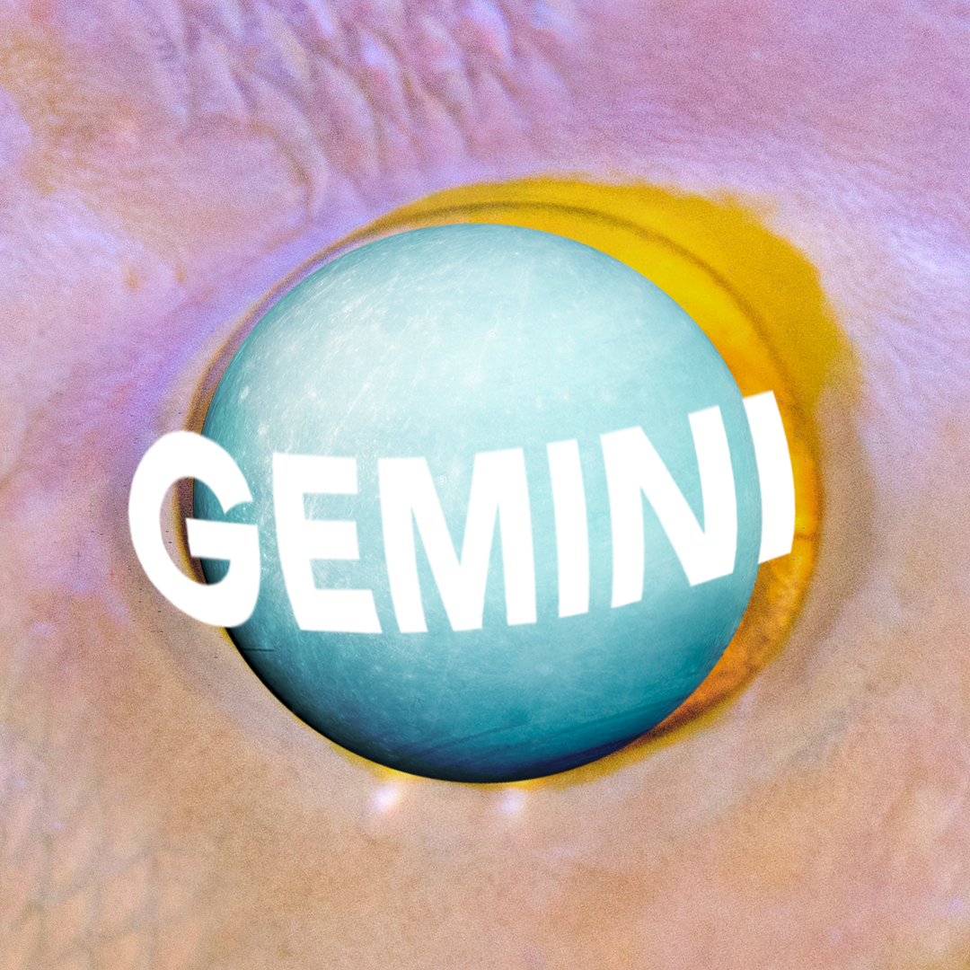 gemini meaning horoscope