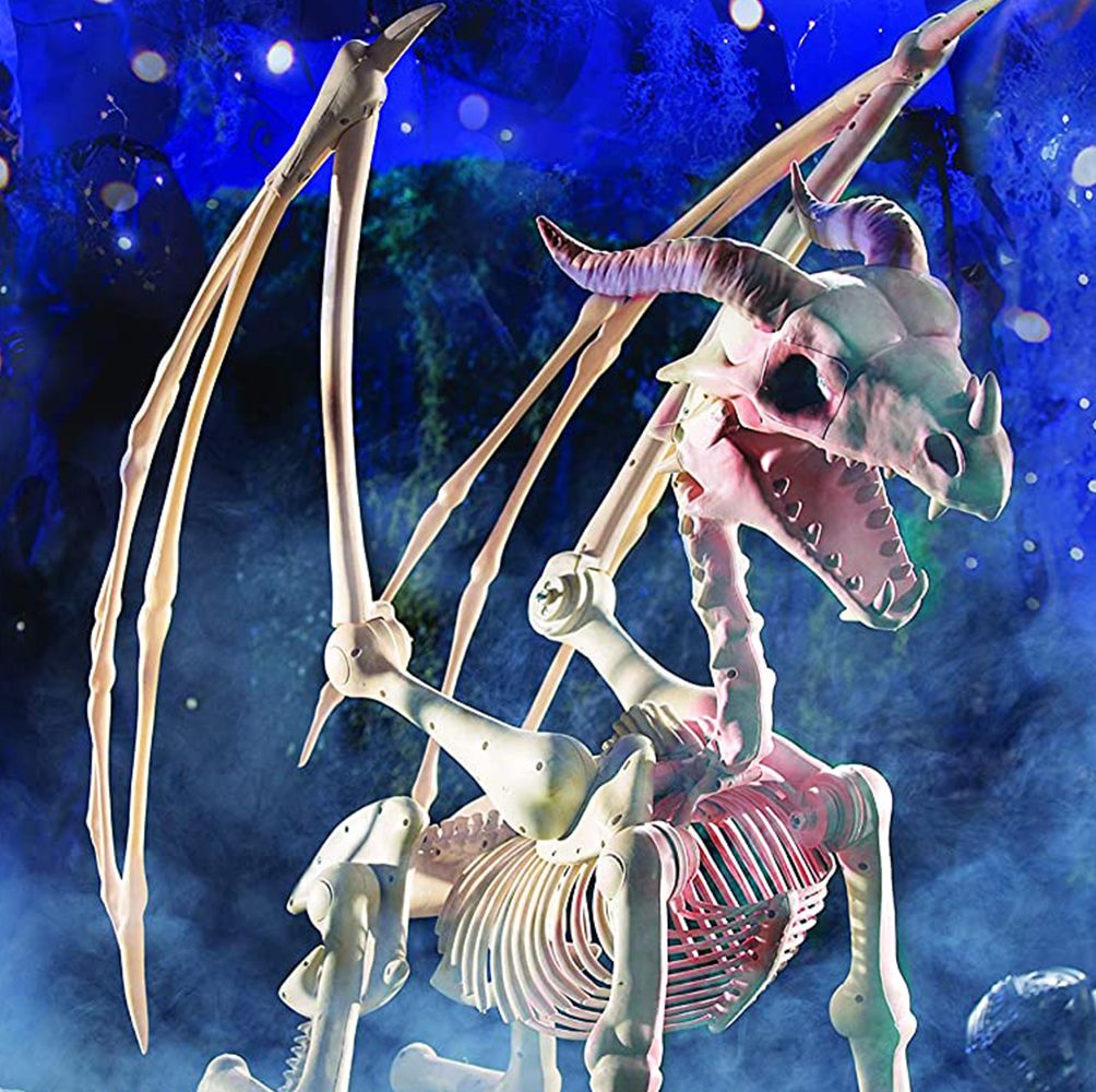 This 4-Foot Dragon Skeleton Will Make a Frightening Statement on