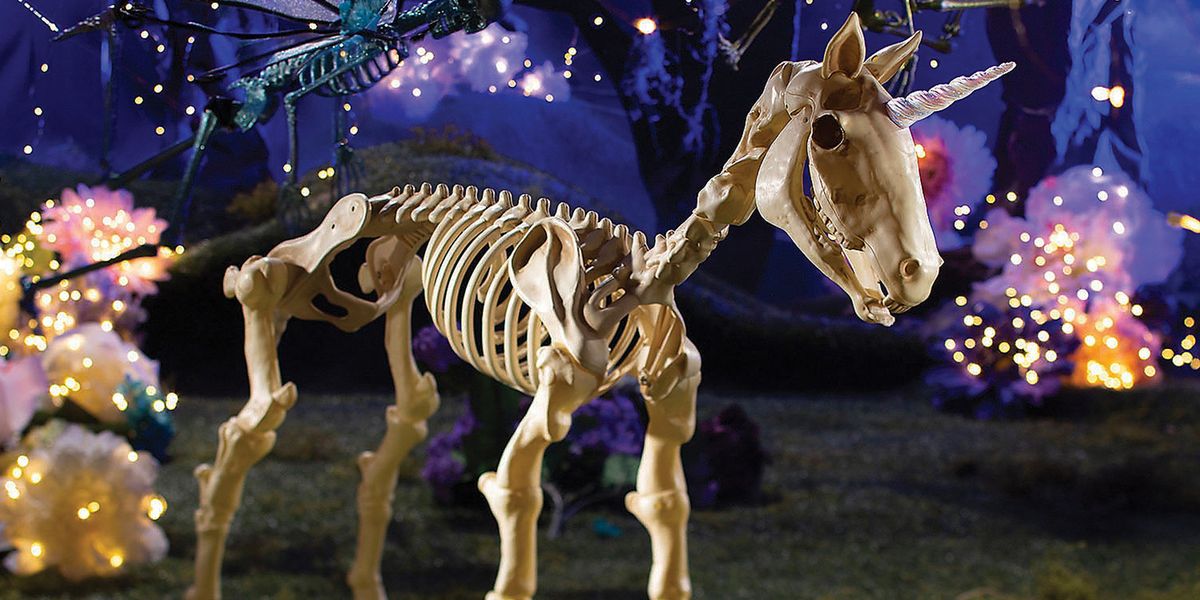 Скелет единорога. Скелет единорога в музее. Сибирский Единорог скелет.