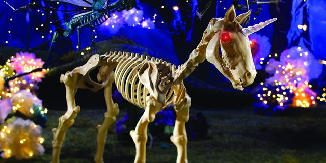 This Unicorn Skeleton Will Be Your Most Magically Spooky Halloween ...