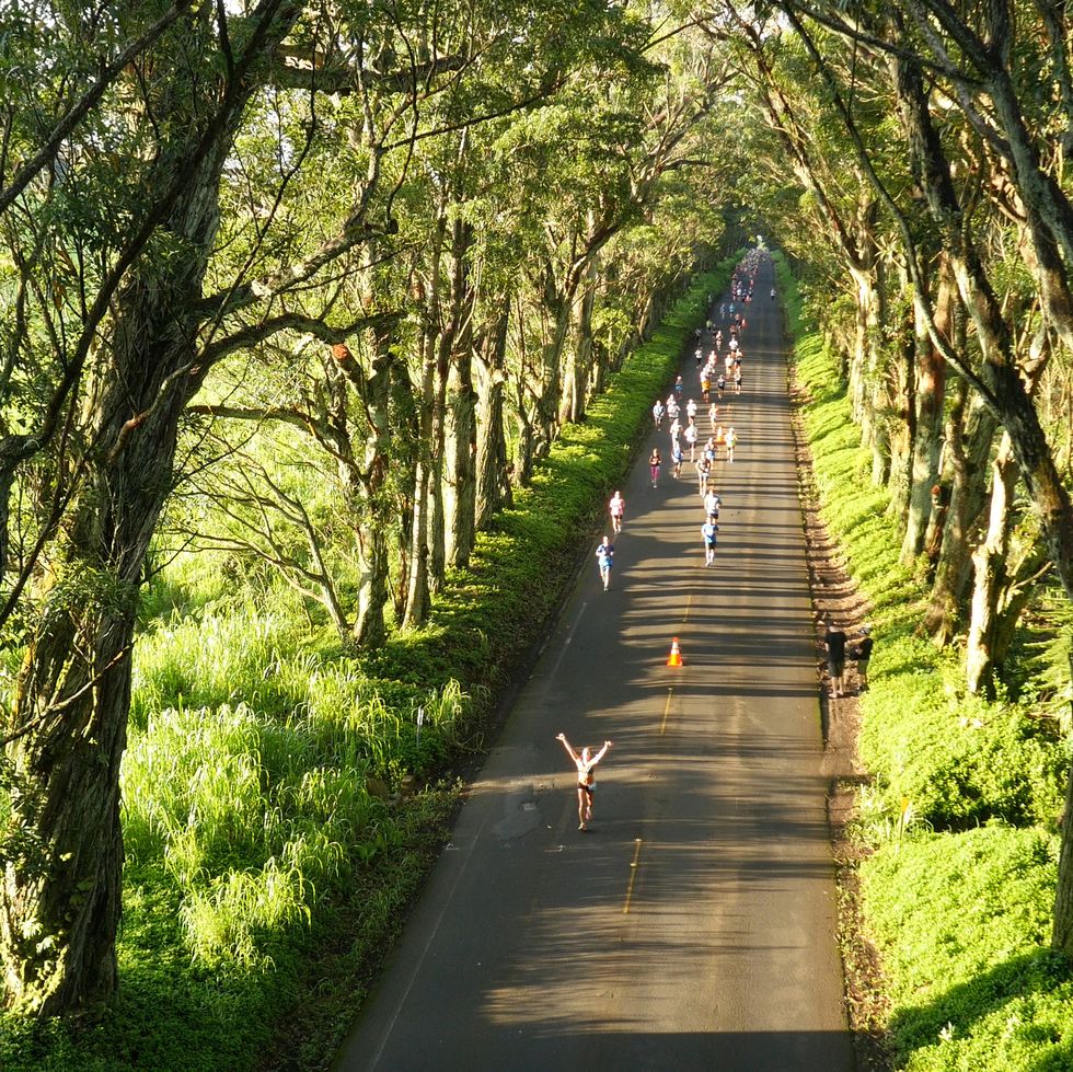 runners in the kauai half marathon run along a tree lined road