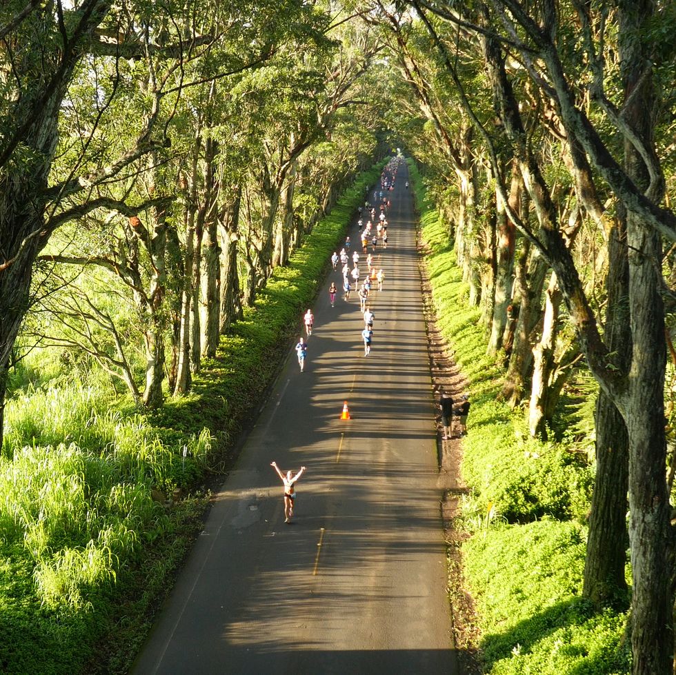 runners in the kauai half marathon run along a tree lined road
