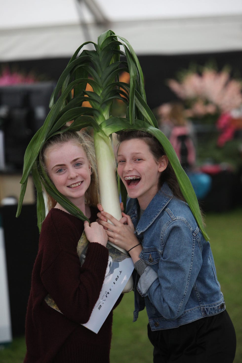 Face, Green, Fun, Smile, Child, Plant, Event, Tree, Flower, Tradition, 