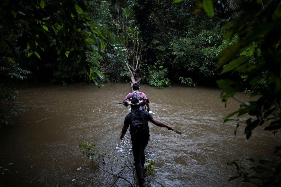 In het uitgestrekte reservaat Terra Indgena UruEuWauWau in de deelstaat Rondnia steken leden van de UruEuWauWaustam over een omgevallen boomstam een rivier over In het reservaat leven vijf inheemse groepen waaronder drie indianenstammen die volledig gesoleerd in de jungle leven Hun grondgebied wordt belaagd door illegale houthakkers mijnwerkers en grondspeculanten Volgens experts hebben de spanningen in het gebied bijgedragen aan de dood van Rieli Franciscato FUNAIagent en pleitbezorger van de rechten van de inheemse bevolking op 9 september 2020 bij de aanval in het reservaat werd hij getroffen door een pijl