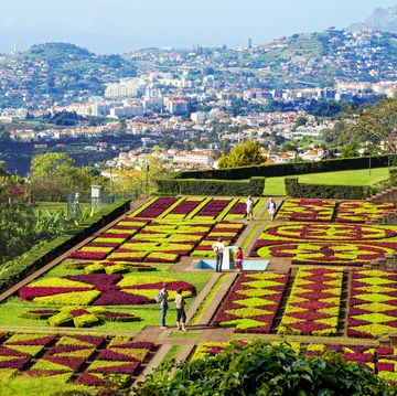funchal, madeira, portugal, botanical garden