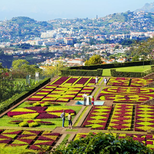 funchal, madeira, portugal, botanical garden