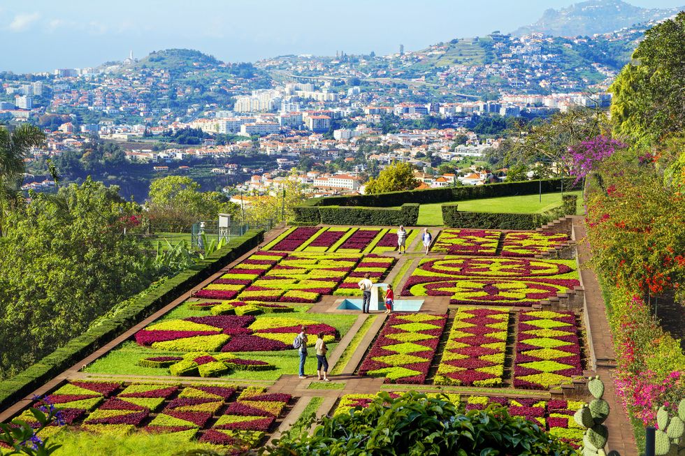 funchal, madeira, portugal, botanical garden