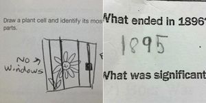14 funny exam answers that are so wrong yet so right 
