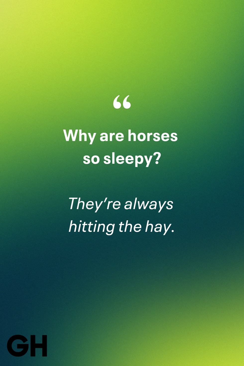 horse joke