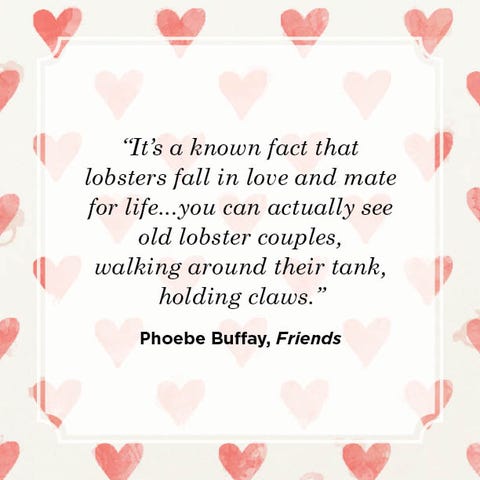 55 Best Funny Valentine's Day Quotes for Him and Her 55 Best Funny Valentine's Day Quotes for Him and Her