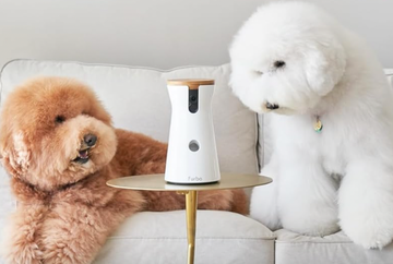 furbo 360 dog camera