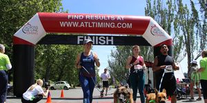 dogs and their owners in the furry 5k