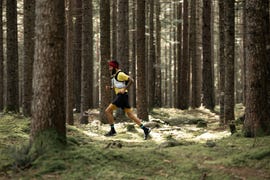 runner in a forested area