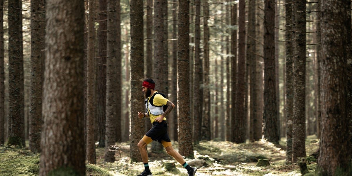 runner in a forested area runner in a forested area