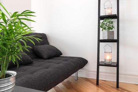 Furniture, Room, Houseplant, Floor, Table, Shelf, Interior design, Wall, Living room, Plant, 