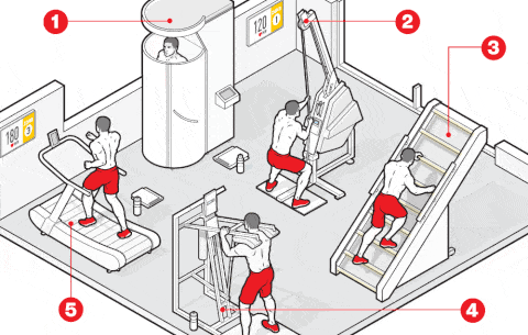 gym of the future