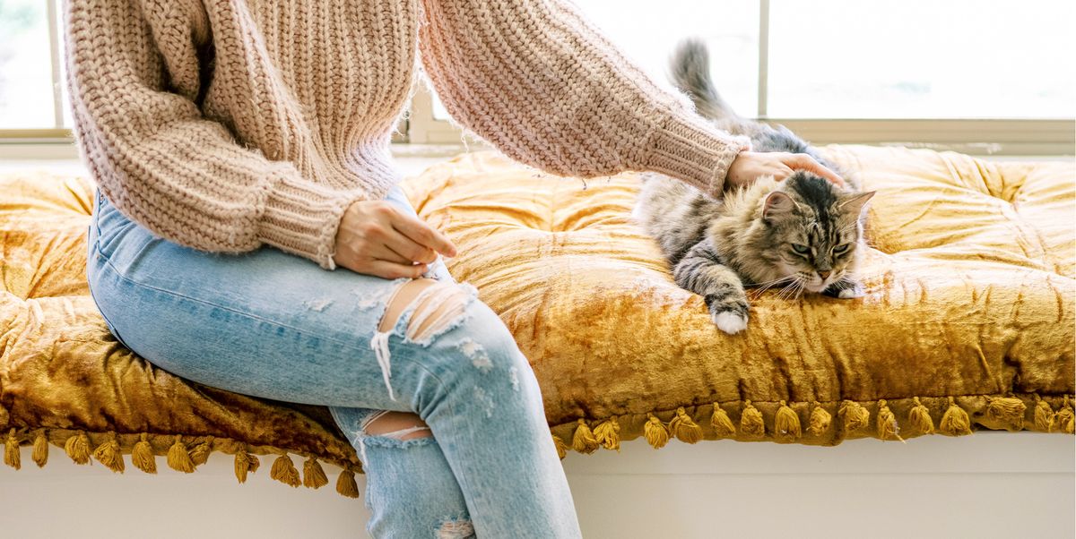 woman wearing fuzzy slippers petting cat
