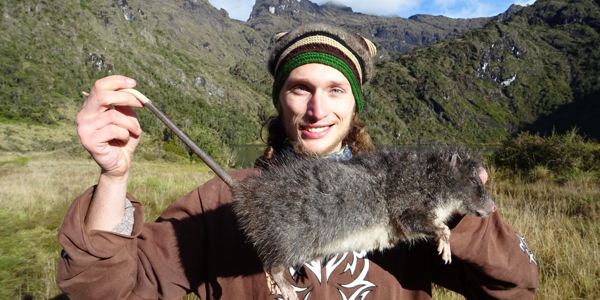 A Mysterious Rat Vanished Into the Mountains in 1989. It Just Showed Its Face for the First Time Since.