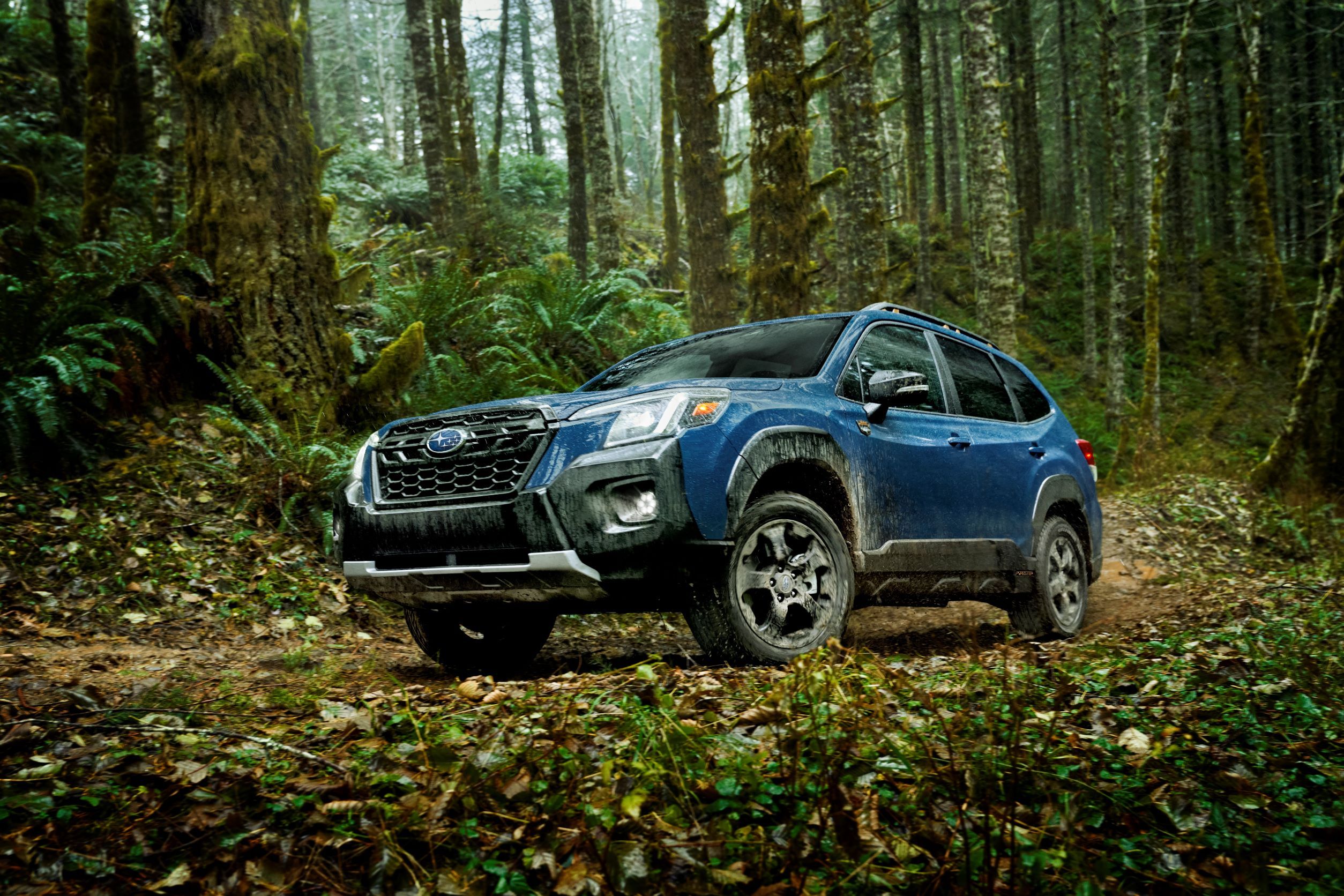 Subaru Forester Wilderness Is a Forester Prepared for the Trails