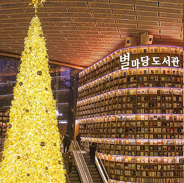 韓國聖誕樹