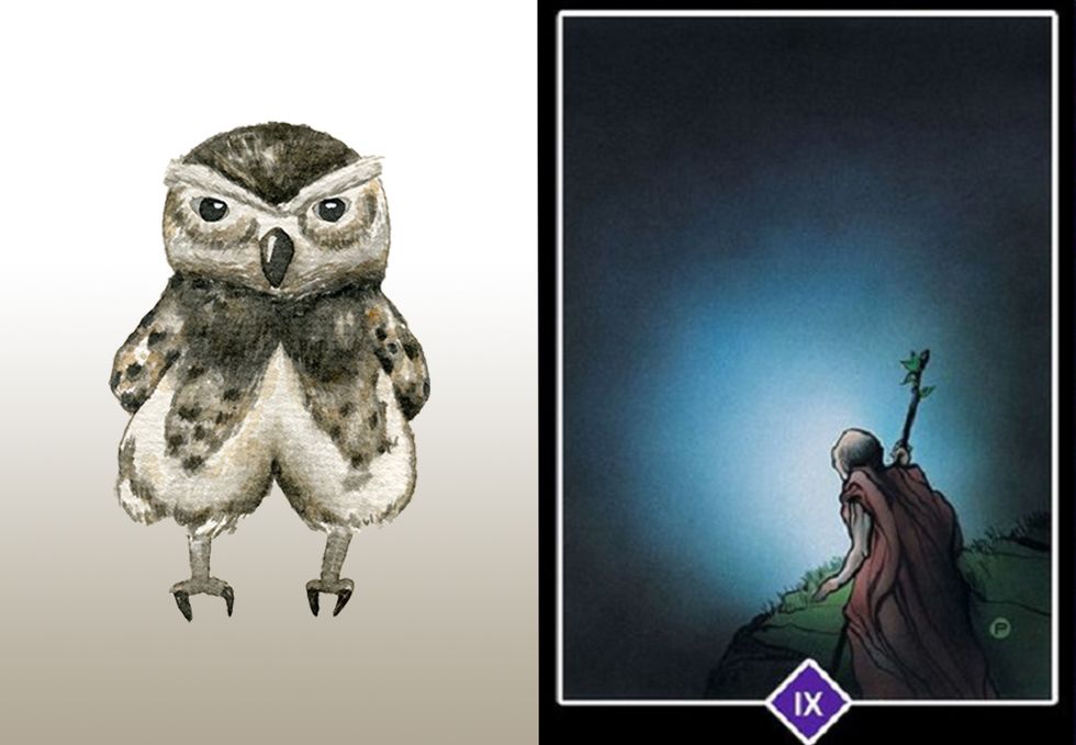 Owl, Barn owl, Bird, Bird of prey, Eastern Screech owl, Illustration, Screech owl, Organism, Adaptation, Art, 