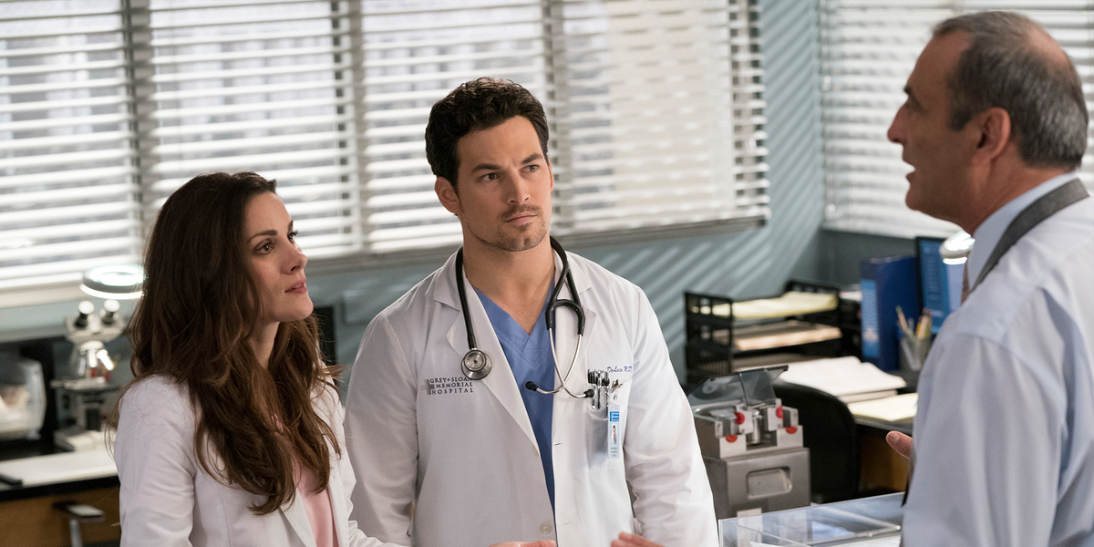 'Grey's Anatomy' Recap: 'And Dream of Sheep' - Recap of Season 15 ...