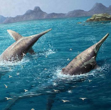 een artist impression van twee ichthyotitans in zee