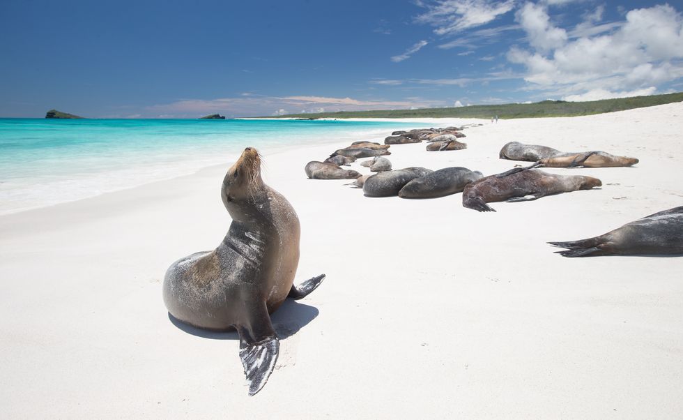 Adventure holidays for singles - Galapagos