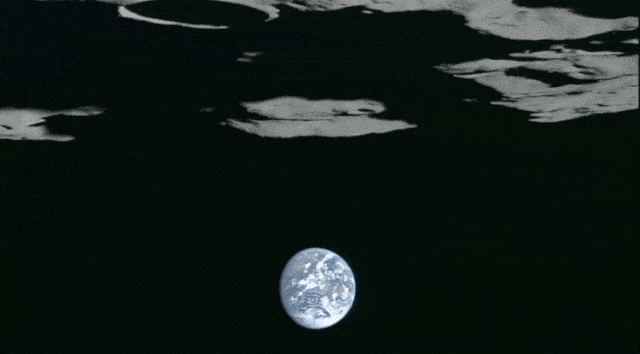 Moon, Water, Astronomical object, Circle, Organism, Space, Earth, Photography, World, 