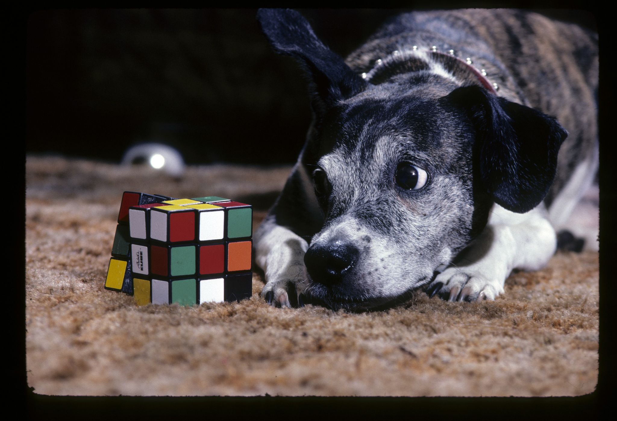 Rubik's Cube Algorithms Explained: How to Solve a Rubik's Cube