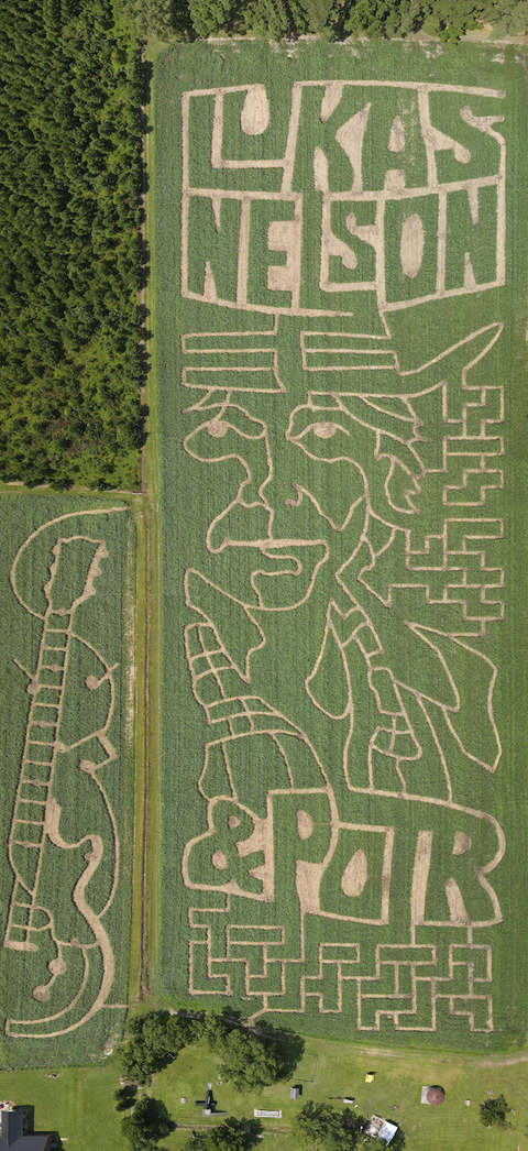 galloway farm corn maze