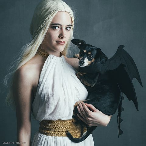game of thrones costumes with dog