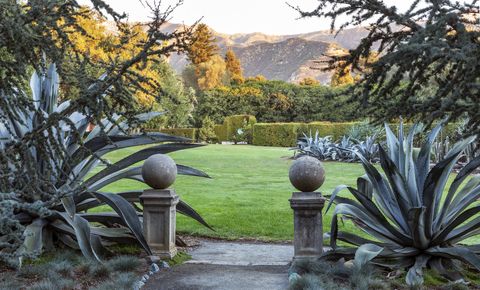 the tonal blue garden sent california’s horticultural community into a frenzy in the 1950s with its silvery palette of bluegrasses atlas cedars and glorious agave