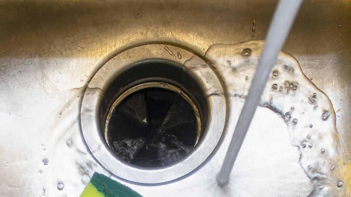 Replace a Garbage Disposal Splash Guard in 8 Steps - Reichelt Plumbing