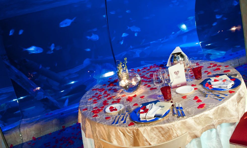 Blue, Table, World, Event, Party, 