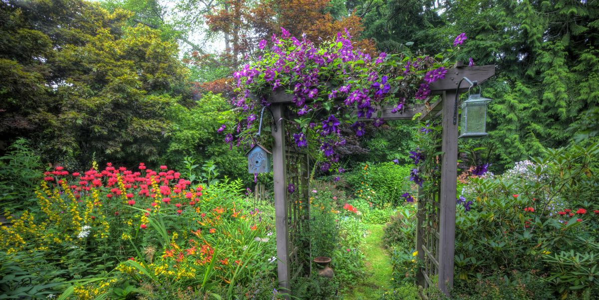 garden and path arbor, colors of summer