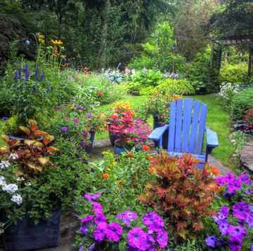 summer flowers garden and path, blue chair, colors of summer