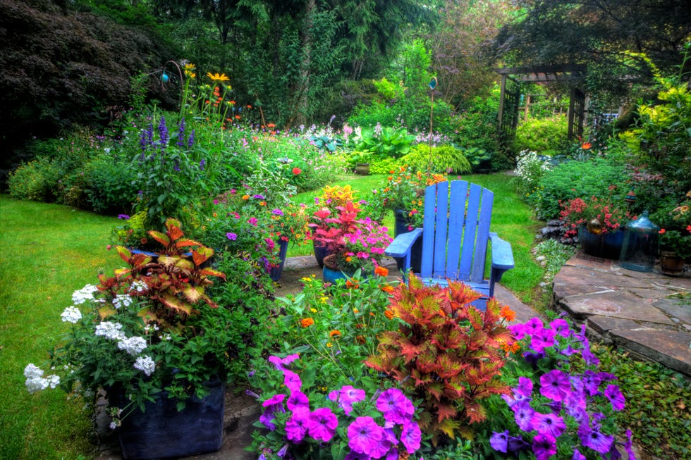 garden and path, blue chair, colors of summer