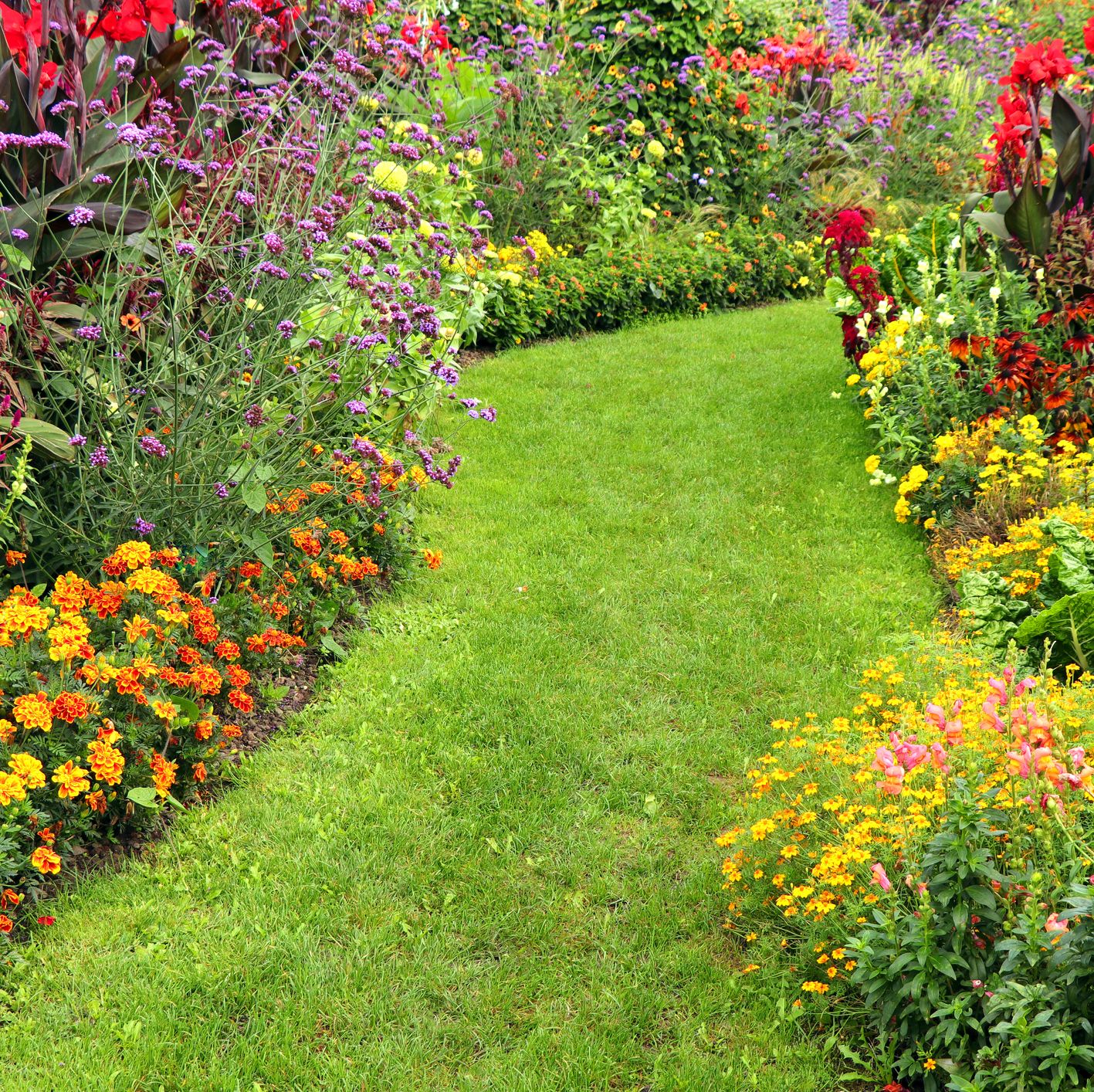 garden border template