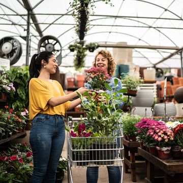 two women shopping for plants in garden centre