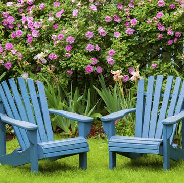 adirondack chairs in a garden with flowers