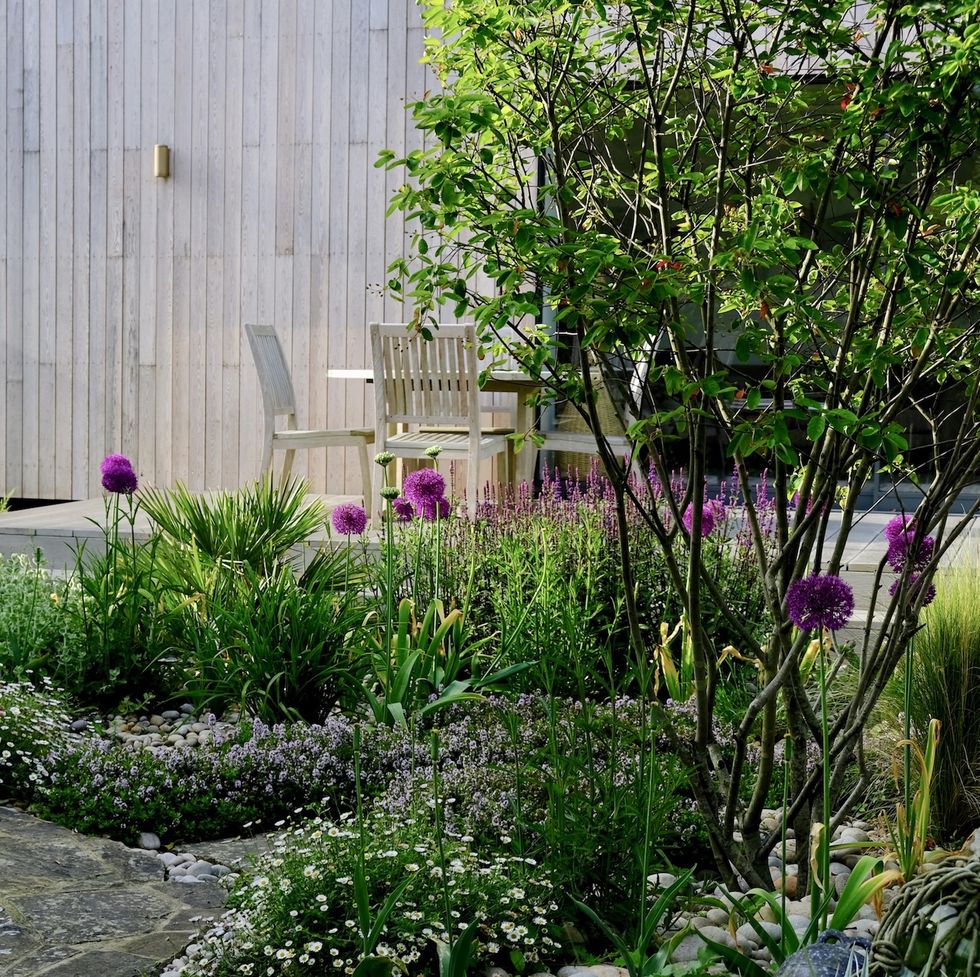 Sue Townsend’s ‘Samphire’ garden, winner of the Beth Chatto Award for best Eco Garden