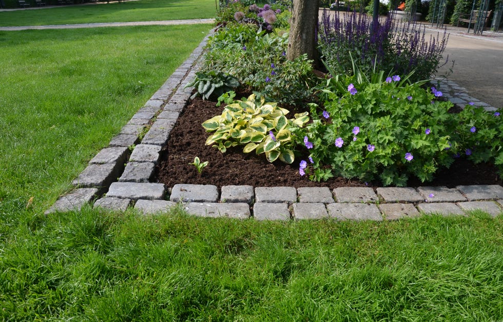 21 Best Garden Edging Ideas of 2024